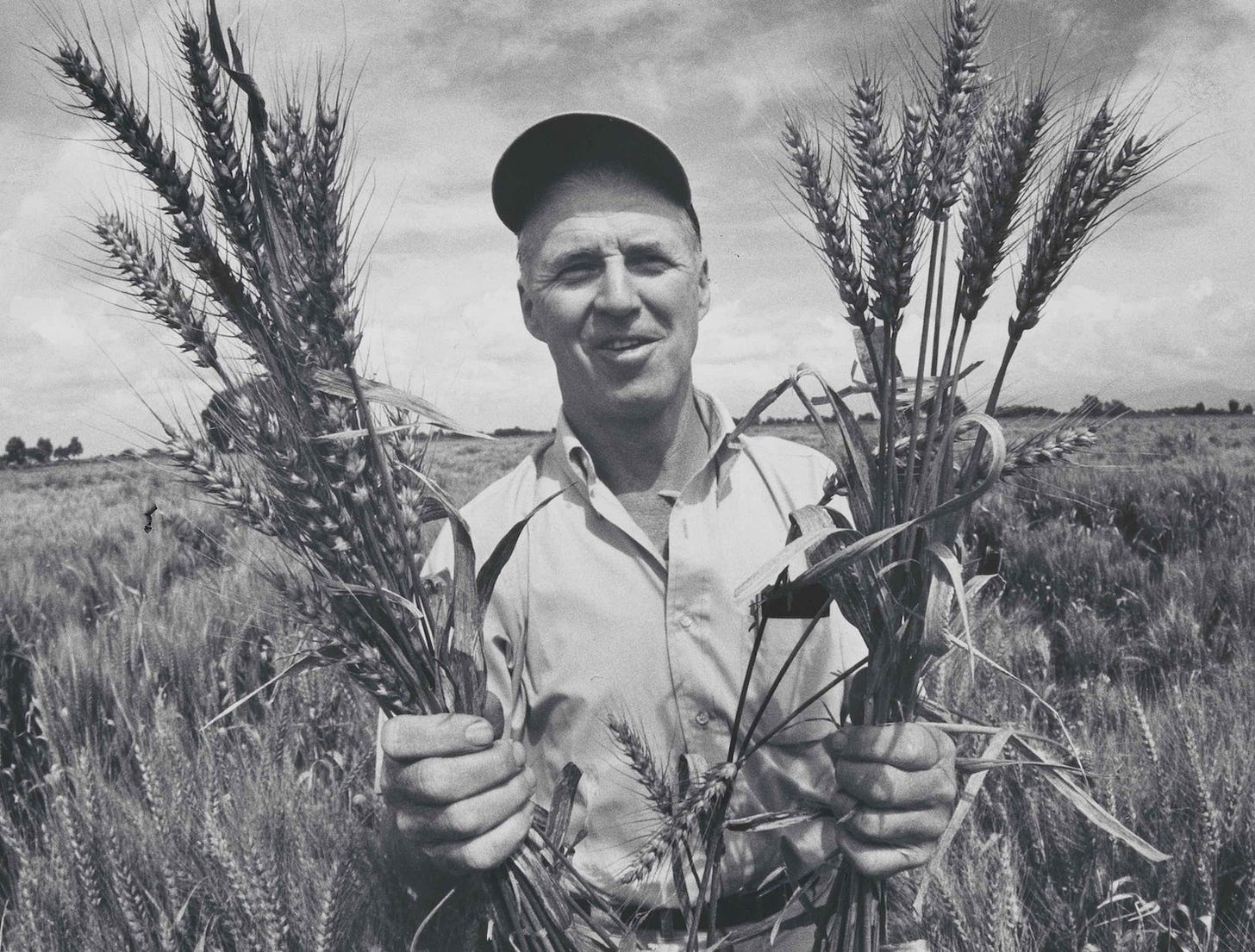 Norman Borlaug is hailed for "feeding the world." So why is there still so much hunger? | The ...