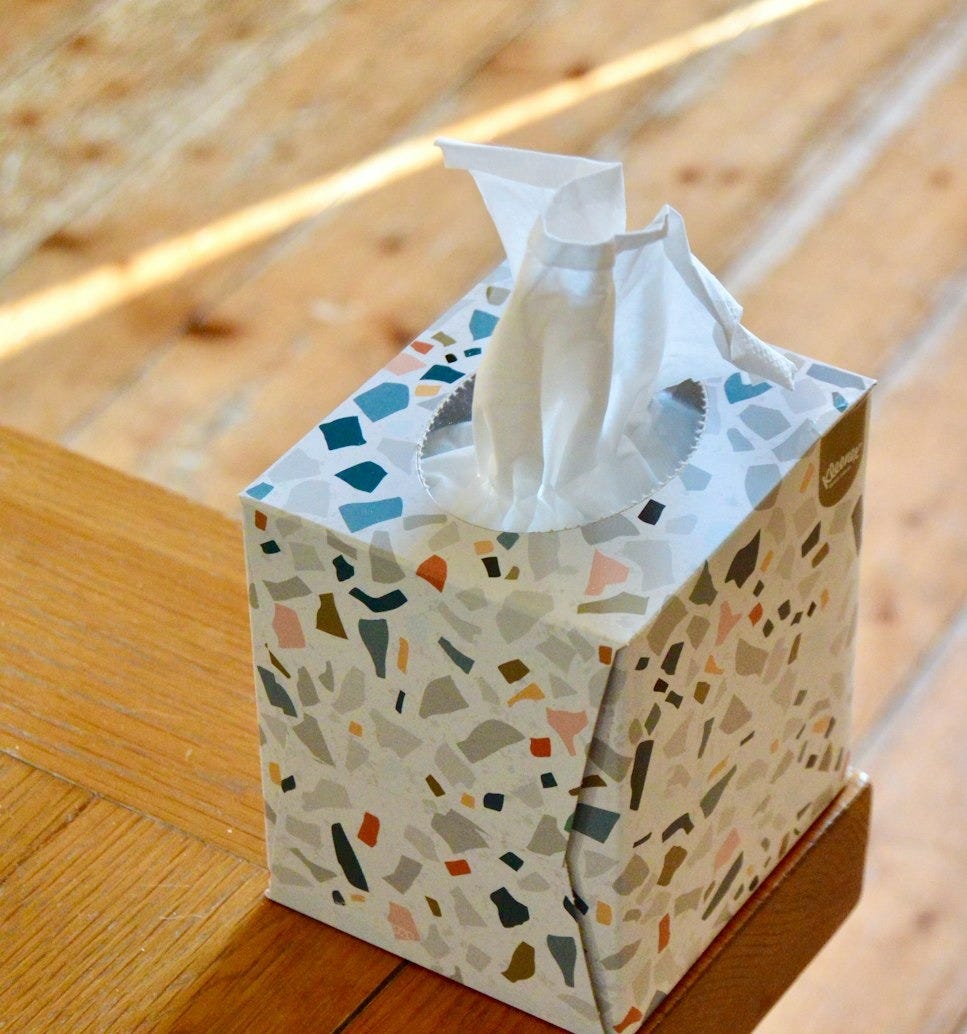 white and blue floral tissue box