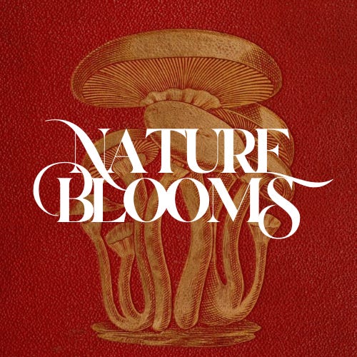 Nature Blooms
