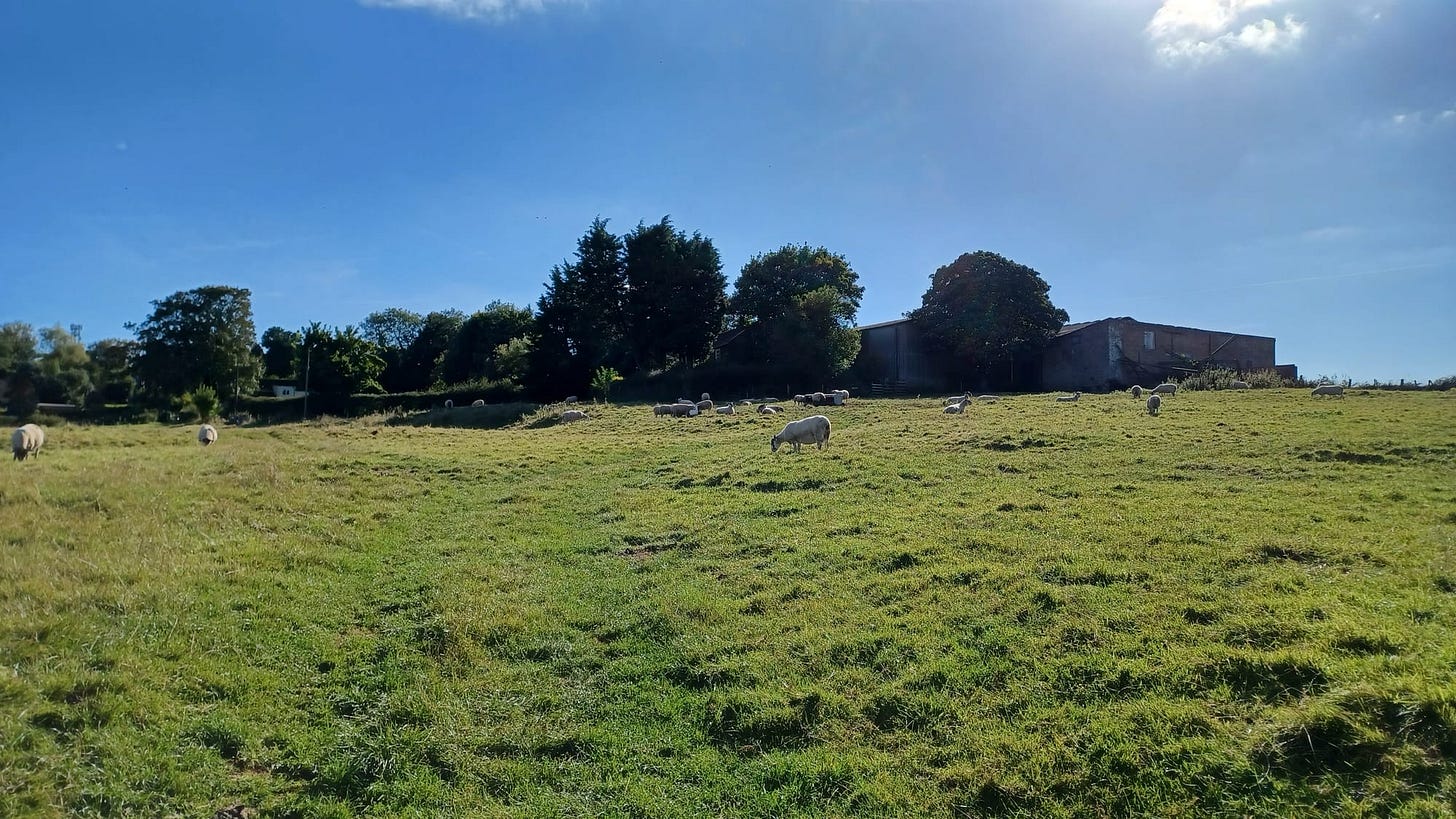 Exploring Lincolnshire: Walks, Hikes & Sights