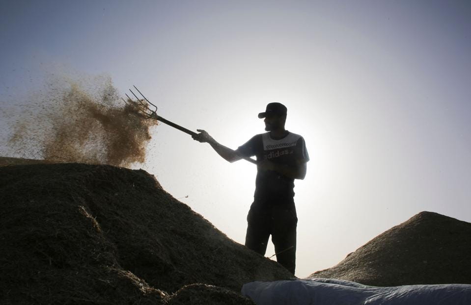 Crypto investors DeFi lending protocols to ″yield farm″ and generate outsized returns. 