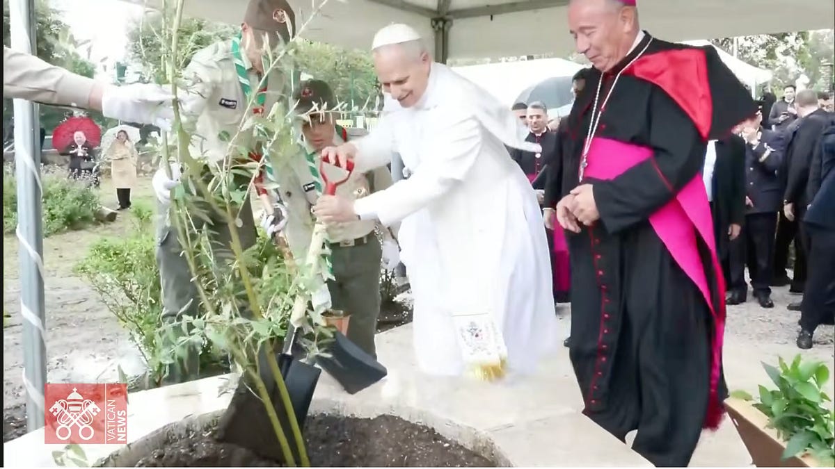 God bless the pope down in Africa