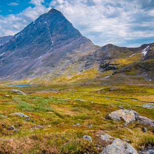 Artwork for Nordic Opportunities