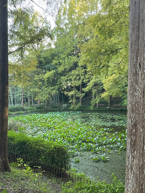 6 photos of Suma Rikyu Koen, a park and botanical garden built on the site of a former imperial villa