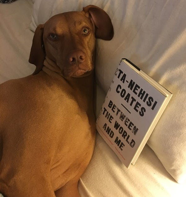 Avid reader Indie, who belongs to loyal subscribers Marni and Byron, would like to interview Ta-Nehisi Coates on The Highlighter Podcast. If you’d like to be a guest on the show, let me know! highlighter.cc/podcast Avid reader Indie, who belongs to loyal subscribers Marni and Byron, would like to interview Ta-Nehisi Coates on The Highlighter Podcast. If you’d like to be a guest on the show, let me know! highlighter.cc/podcast