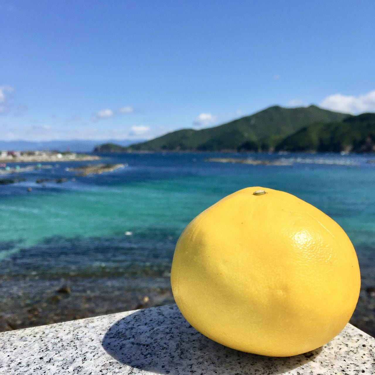 センスオブワンダーな暮らし