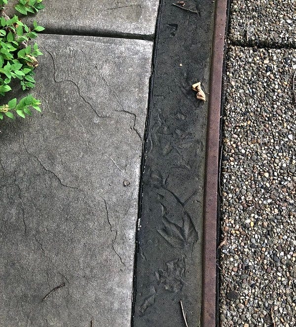 New embossed botanicals in the concrete at Venson Park.