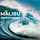 Malibu Invest Newsletter