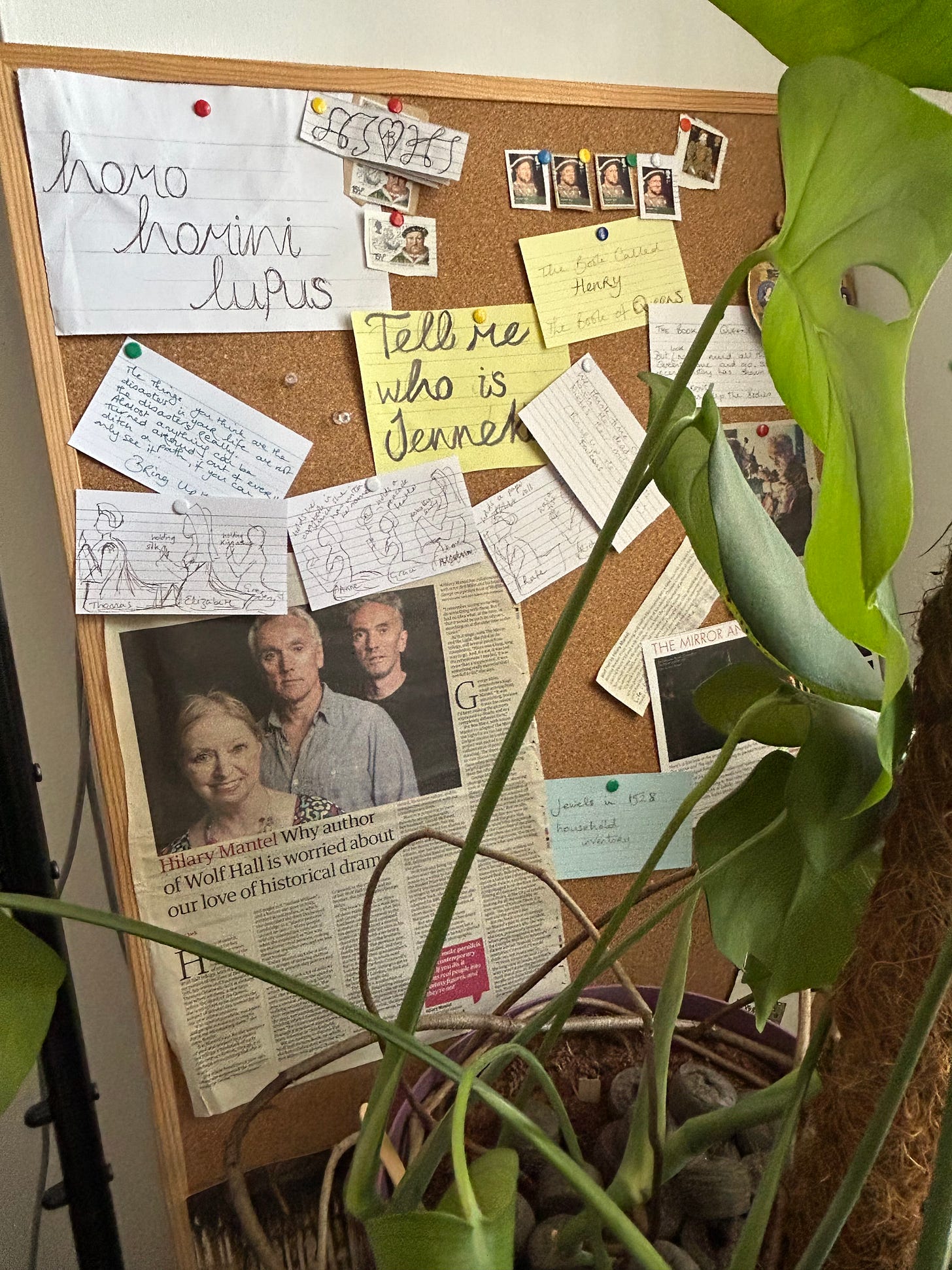 A large swiss cheese plant in front of a noticeboards containing cuttings about Hilary Mantel, stamps of Henry VIII, the words homo homini lupus and Tell me who is Jenneke. Sketches on index cards. 
