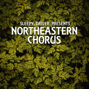 Music | Sleepy Driver