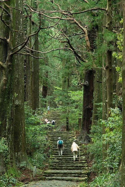 This may contain: two people walking up some steps in the woods