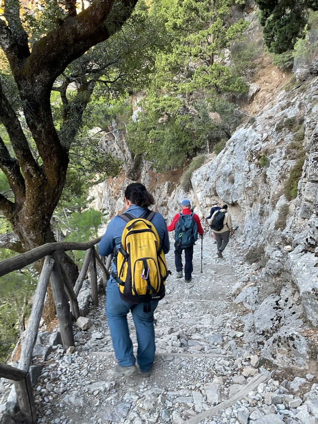 The start of the hike is a long descent down a rocky staircase. The rocks are worn smooth, which makes them slippery–this is probably the most dangerous part of the hike.