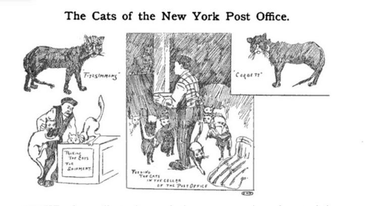 New York Post Office Cats New York Post Office Cats