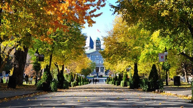 McGill-Quad