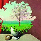 THE NEW REALITY-Canada and the USA as slave states to corporate wars. 