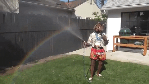 Meme Chilling GIF by Jazz Memes - Find & Share on GIPHY