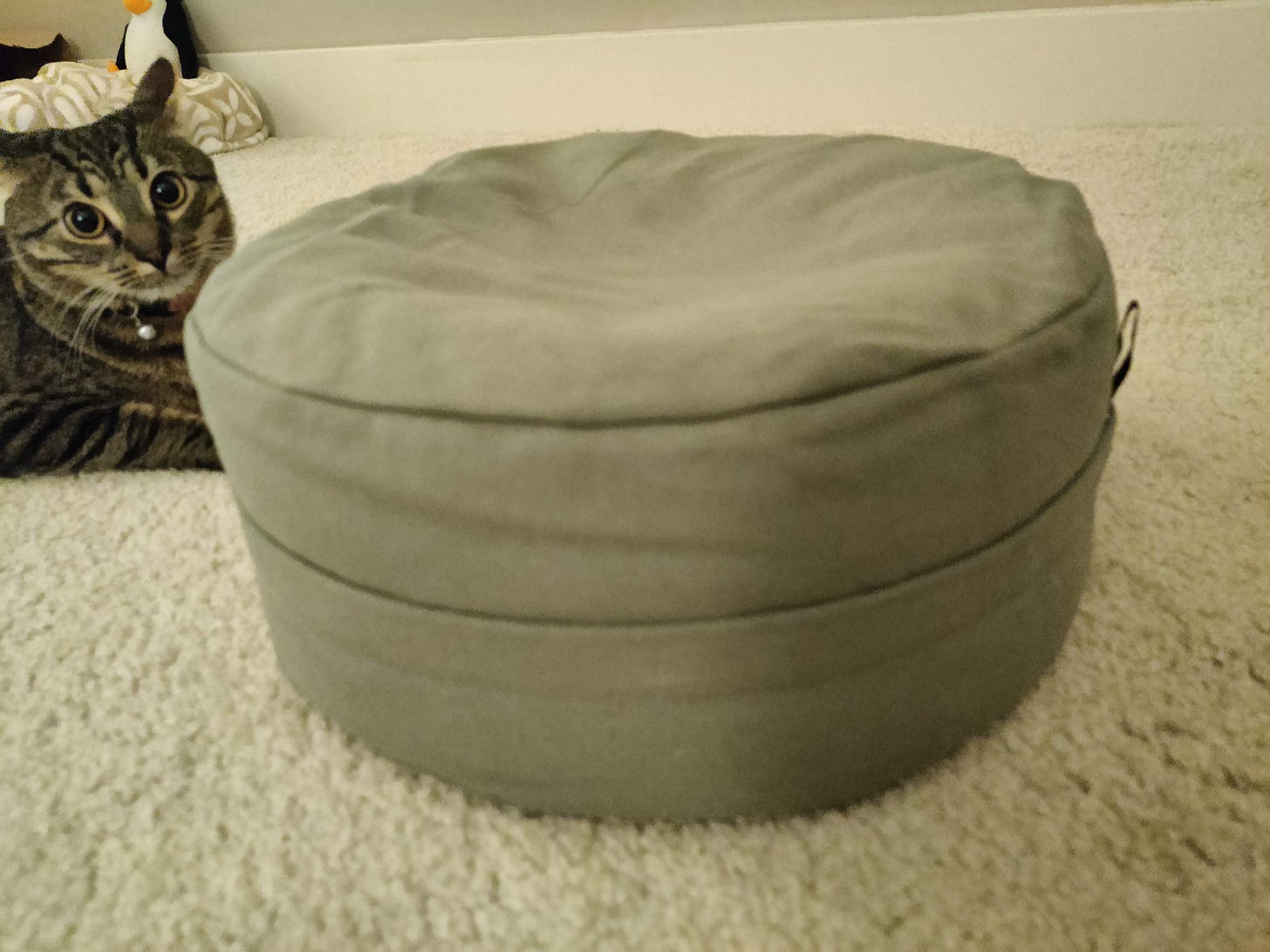 My assistant couldn't believe it either.