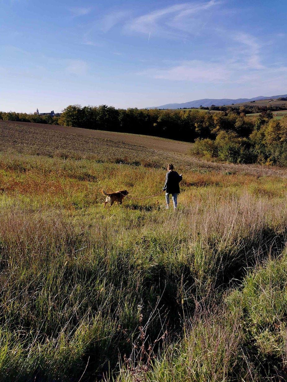 Women Walking her dog in autumnal meadow