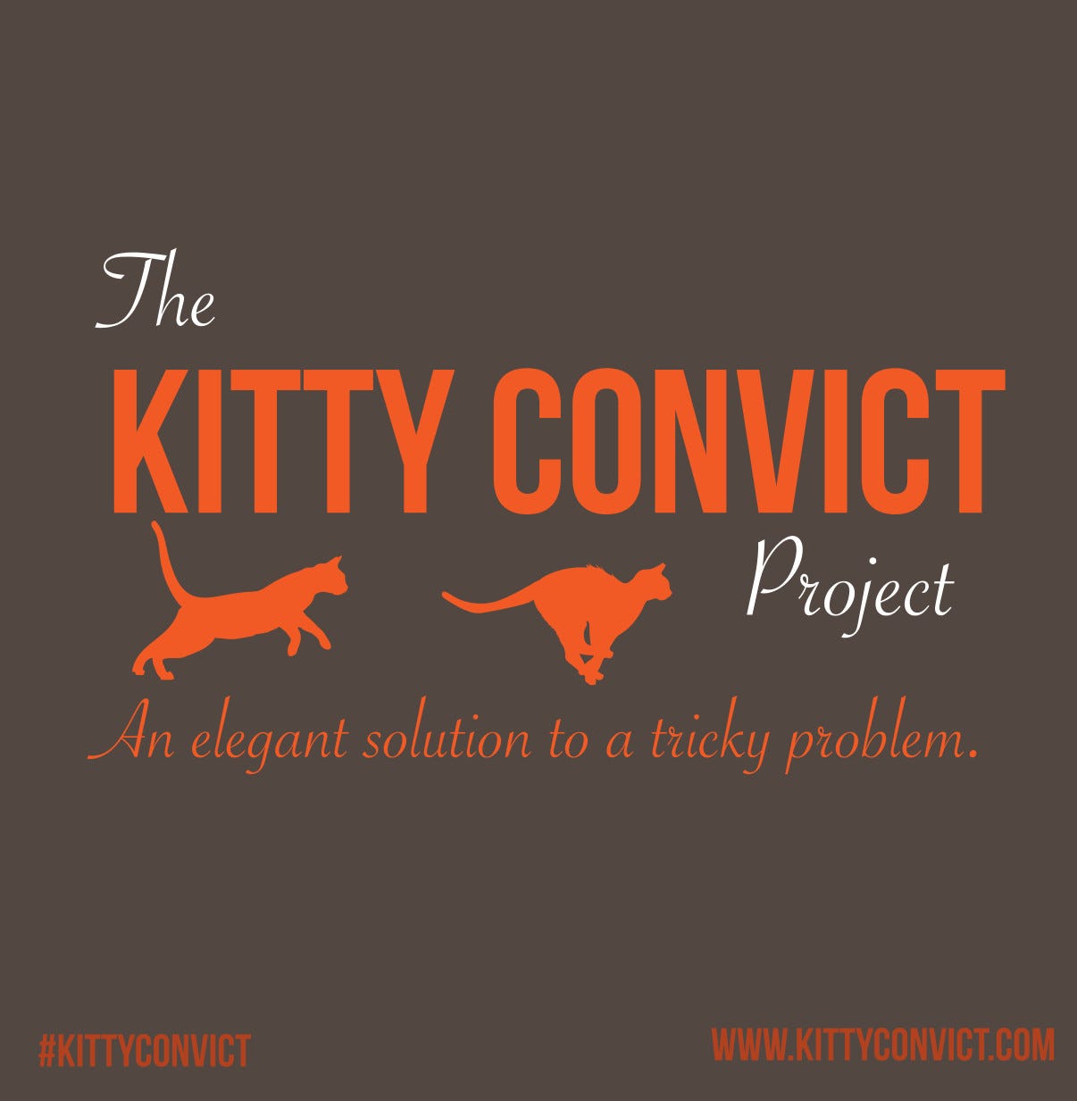 Kitty Convict Project 1 Kitty Convict Project 1