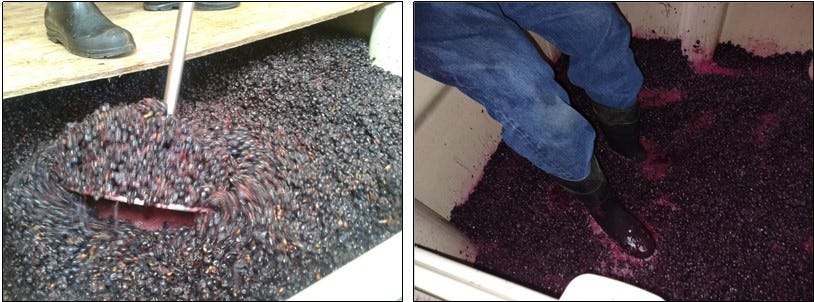 Punch down tool for Pinot Noir and "putting the boots" to the Syrah.