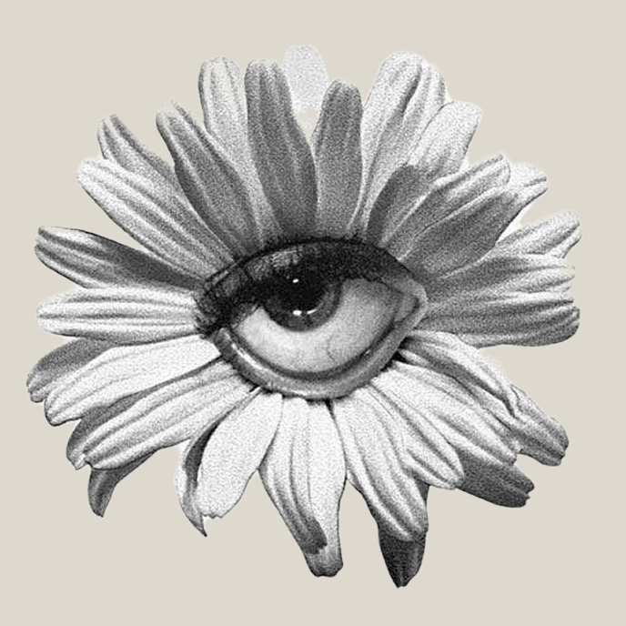 The Quiet Rebellion logo