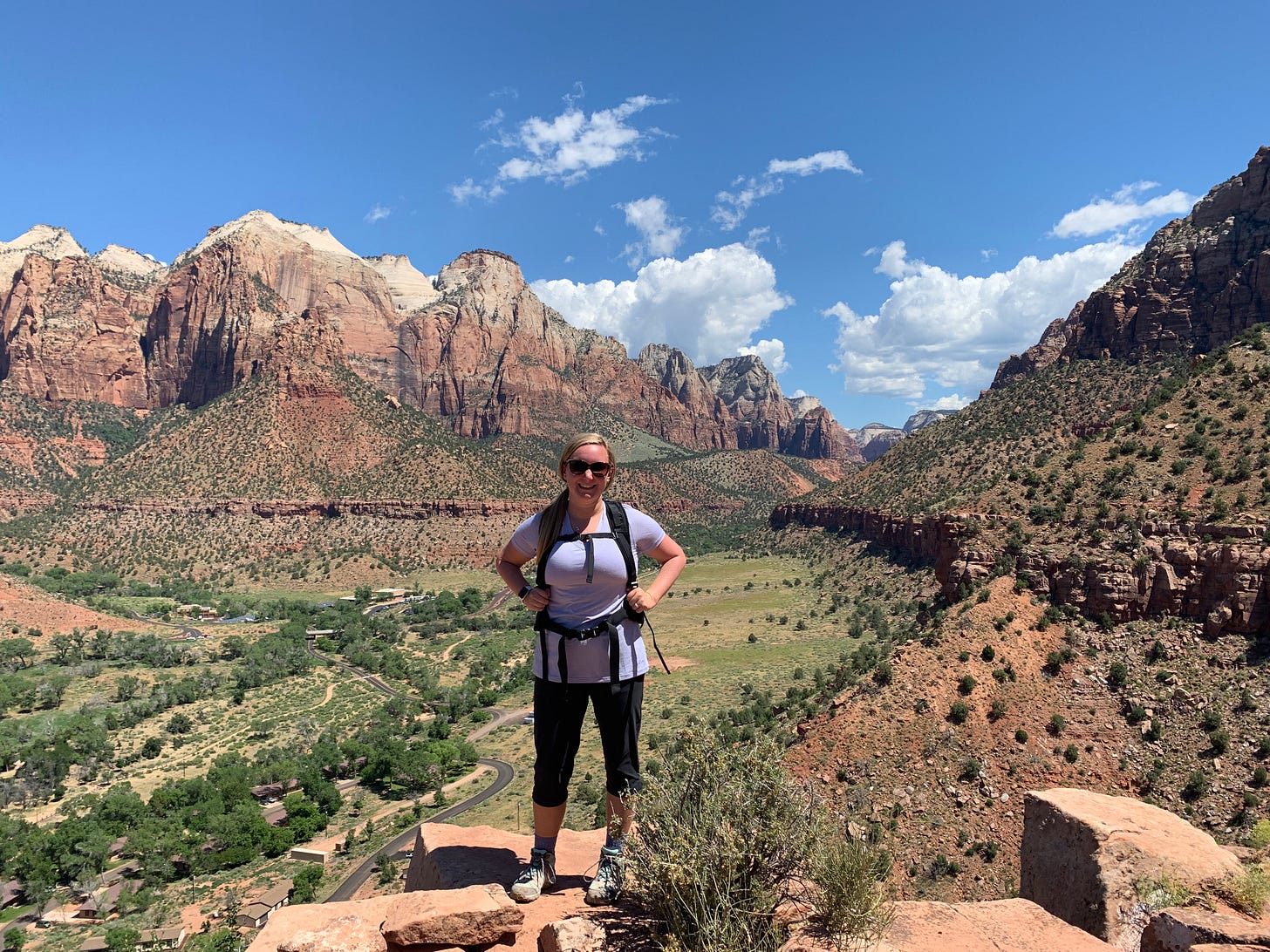 travel mentor zion