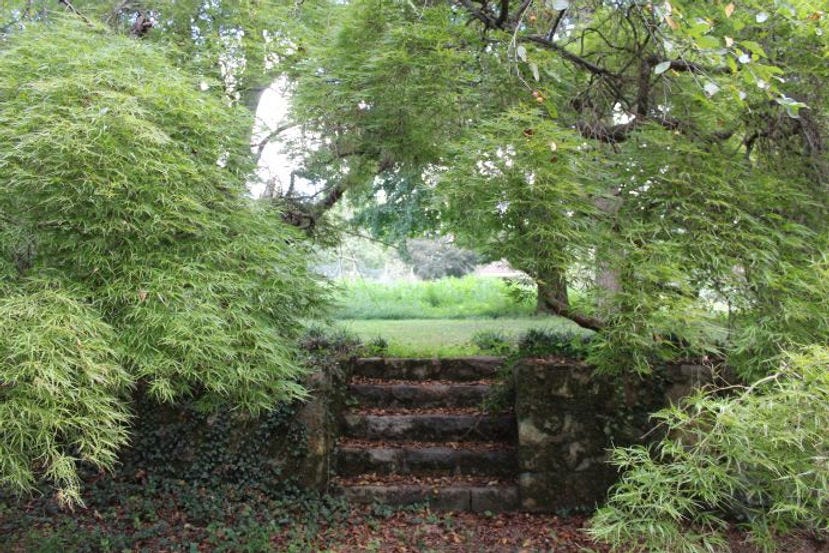 Stone terraces at Rodale Founders Farm