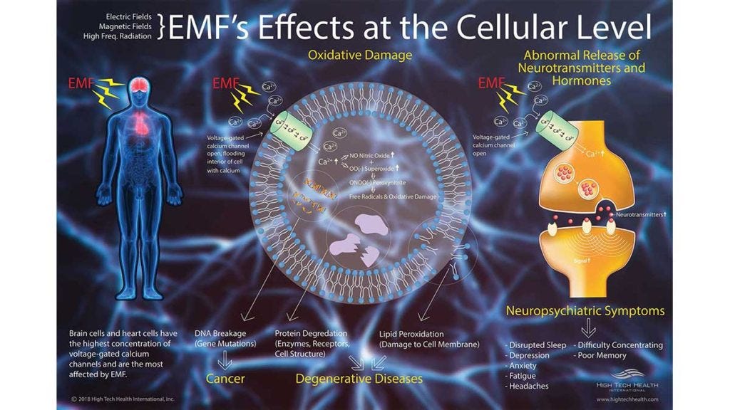 https://www.hightechhealth.com/wp-content/uploads/2019/10/EMF_poster-675-2-1024x576.jpg