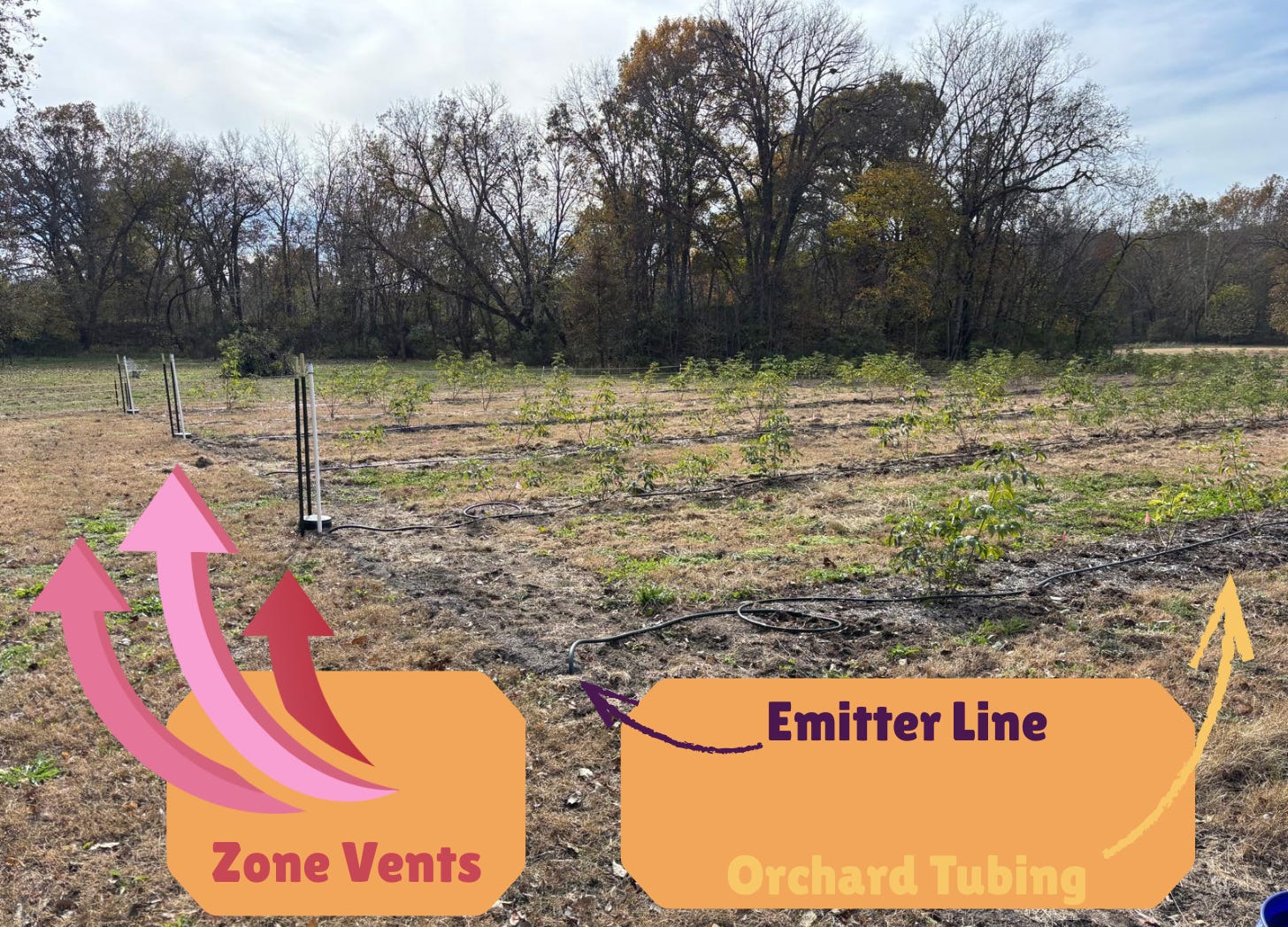 Installed:  Zone vents, emitter lines & orchard tubing