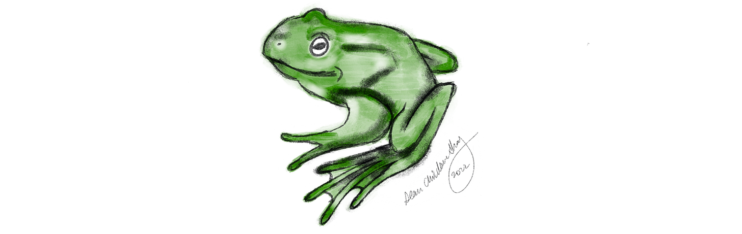 drawing of a green frog
