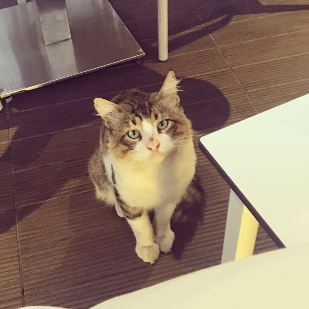 WeChat Image_20171022234309