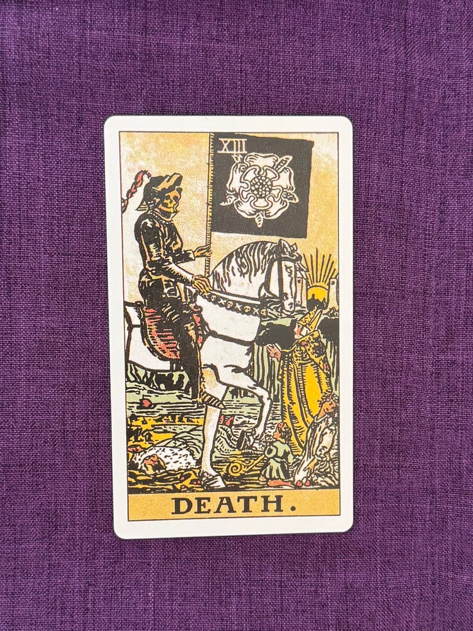 tarot card shows A skeleton dressed in black armor, riding a white horse and carries a black flag decorated with a white, five-petal rose.  A royal figure appears to be dead on the ground, while a young woman, child and bishop plead with the skeletal figure. In the background, a boat floats down the river, on the horizon, the sun sets between two towers.