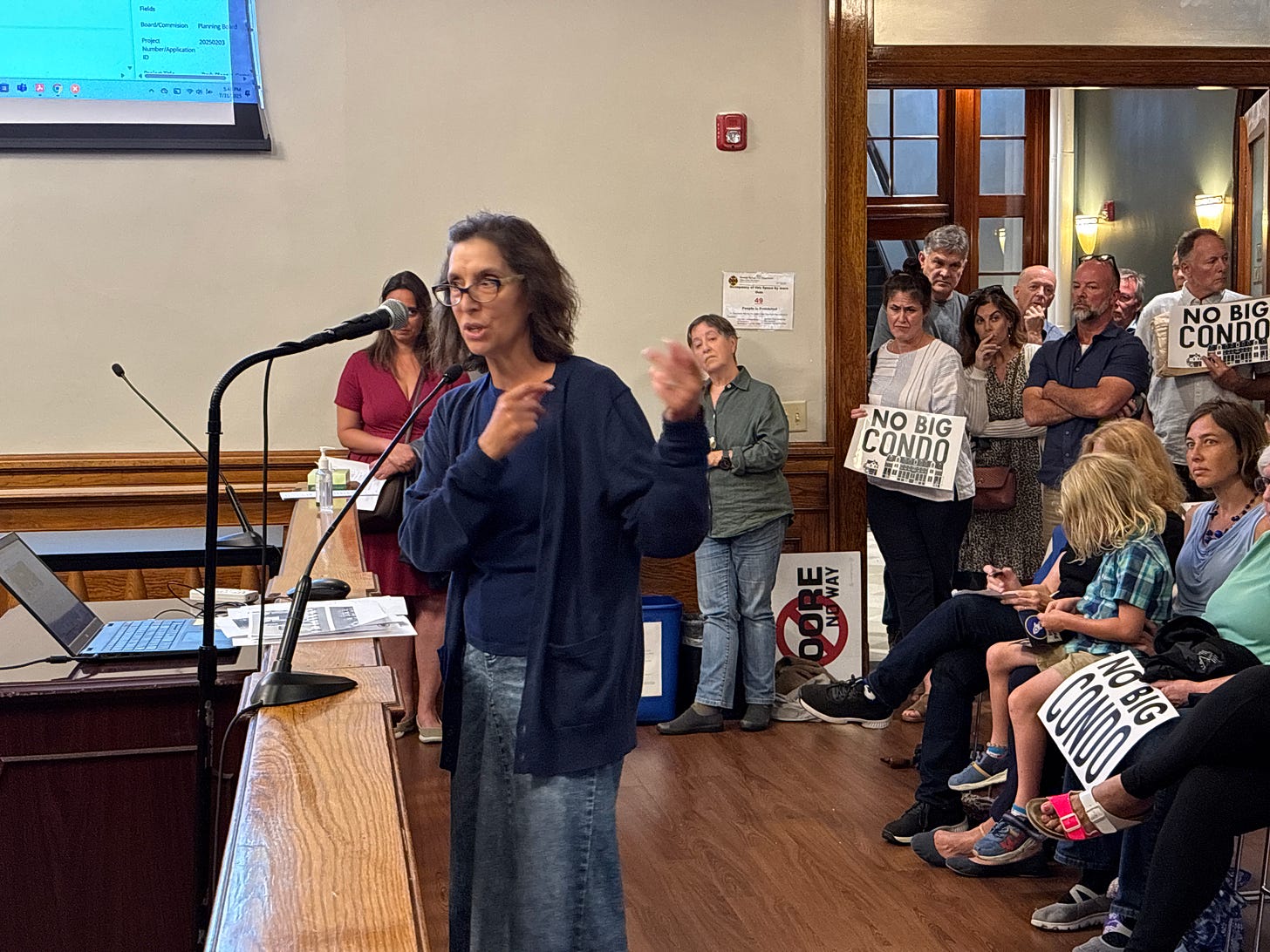 Pictures of the people who packed the city council chamber with signs "No big condo."