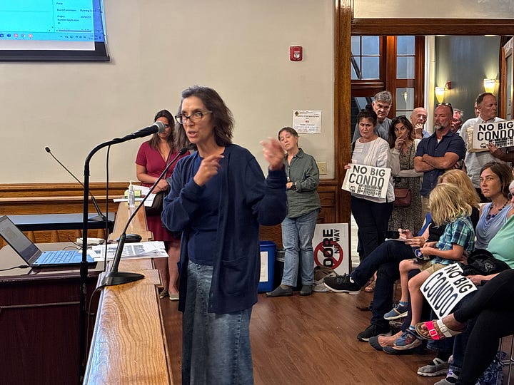 Pictures of the people who packed the city council chamber with signs "No big condo."