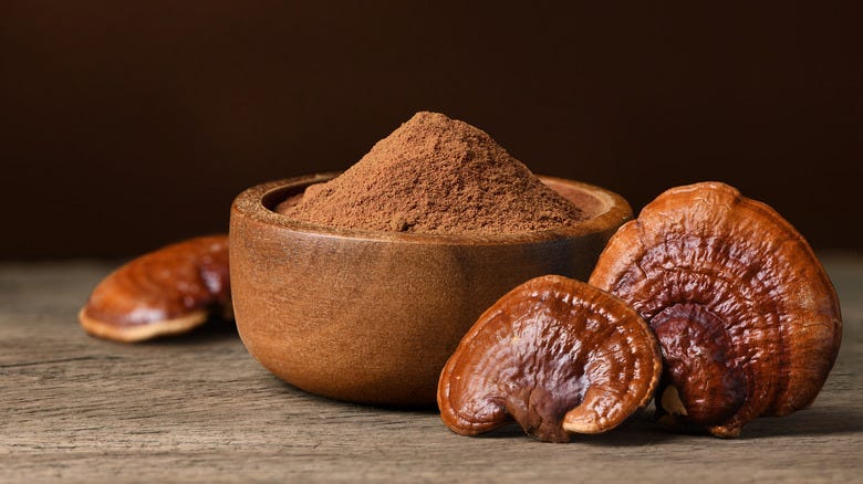 reishi mushrooms and powder