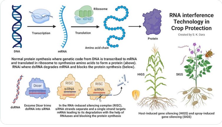 RNA as a Pesticide and Indemnification