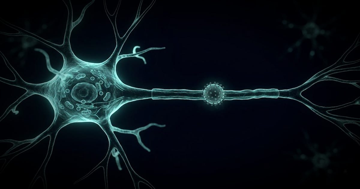 Hidden Dangers of Shingles: Why the Virus Could Be Accelerating Cognitive Decline