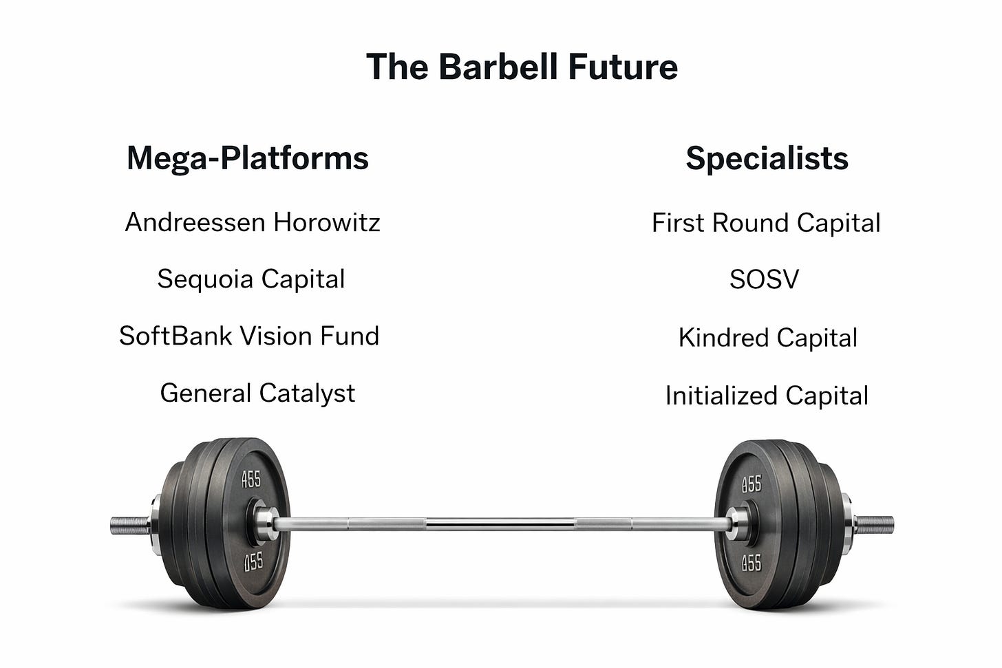 An image of a barbell labeled with Mega-Platforms on one side and Specialists on the other. An image of a barbell labeled with Mega-Platforms on one side and Specialists on the other.
