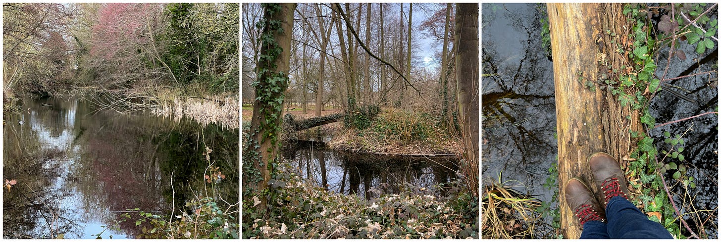 a triptych showing a pond, an island bridged by a tree and some feet I boots about to cross the tree-bridge