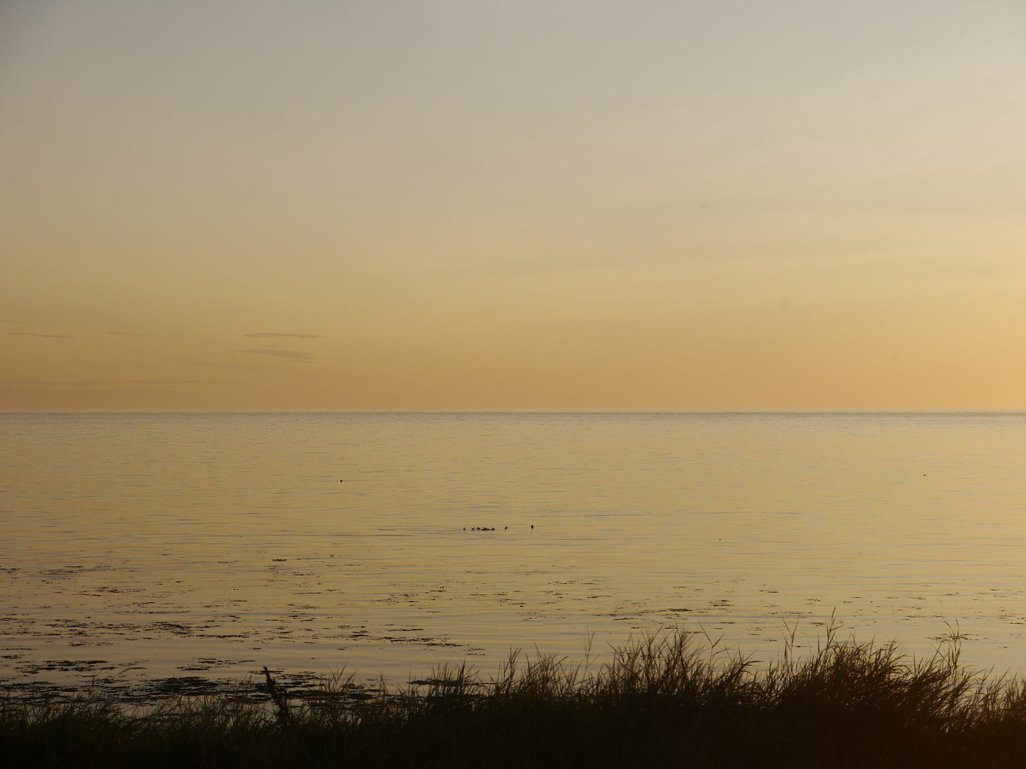 A pale sea in late evening light