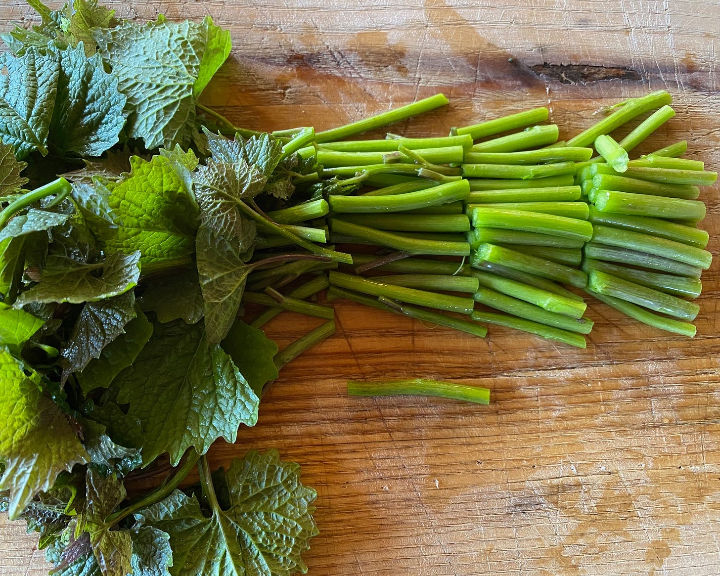 Chopped Garlic Mustard