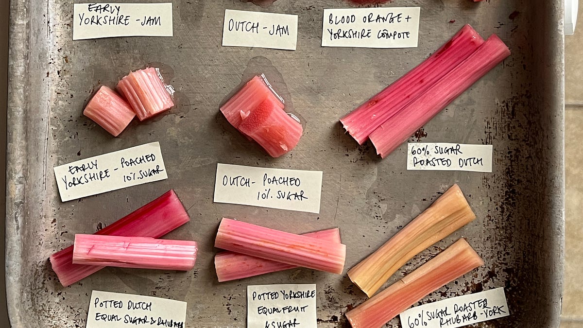 Kitchen Project #128: Everything Rhubarb - by Nicola Lamb