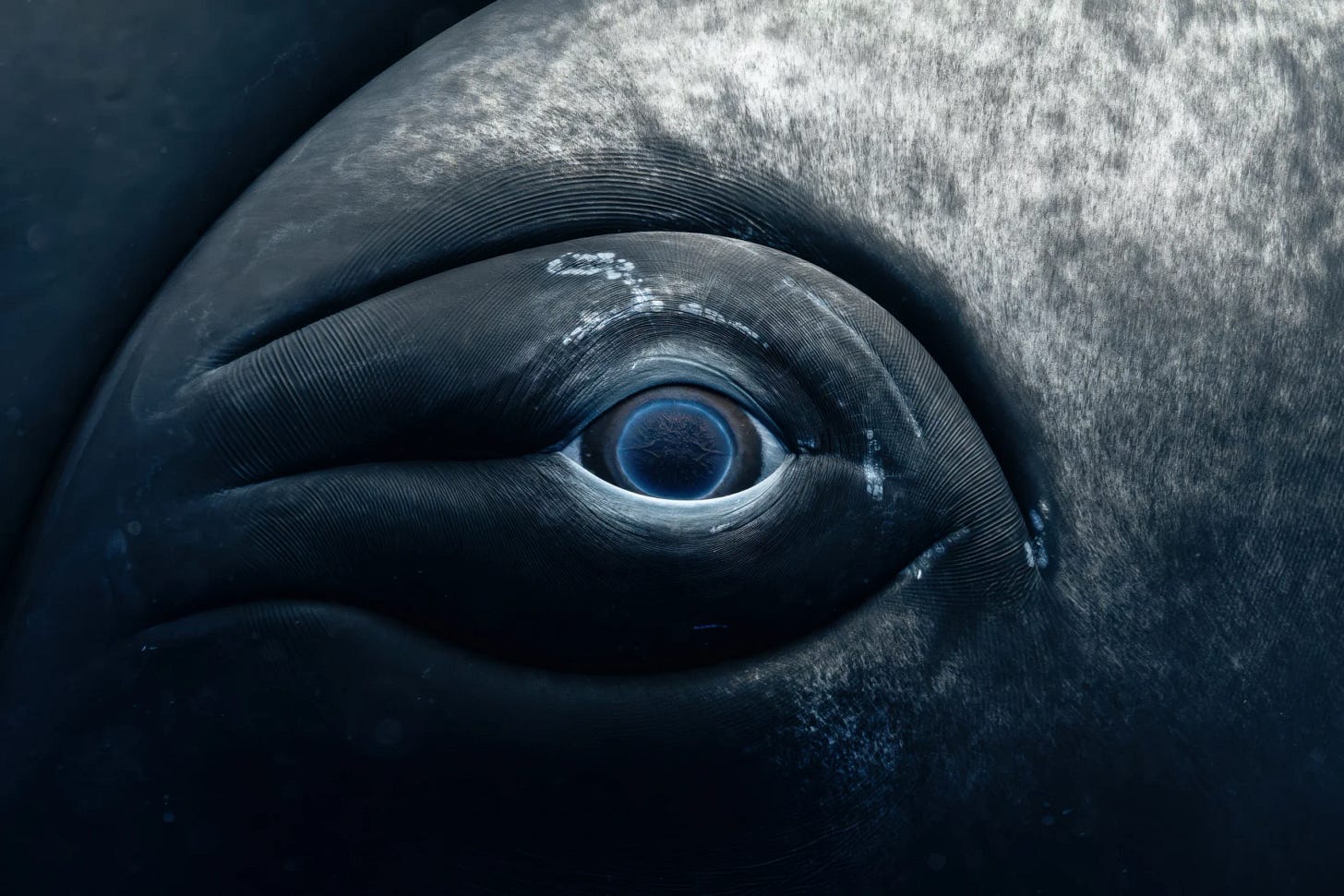 Fotografía de Rachel Moore, ganadora del UNWOD2025