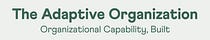 The Adaptive Organization