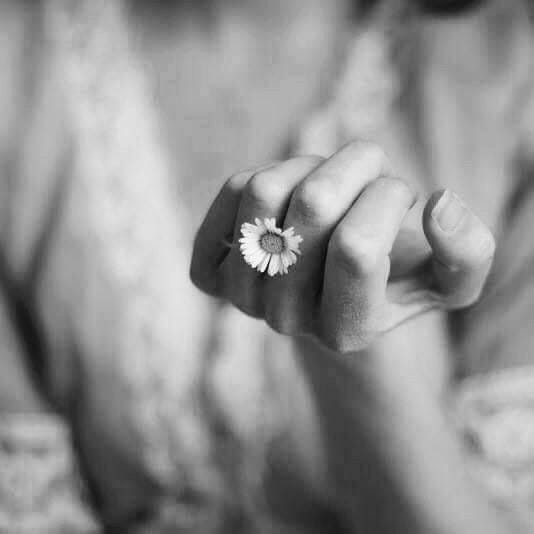 May be a black-and-white image of flower May be a black-and-white image of flower