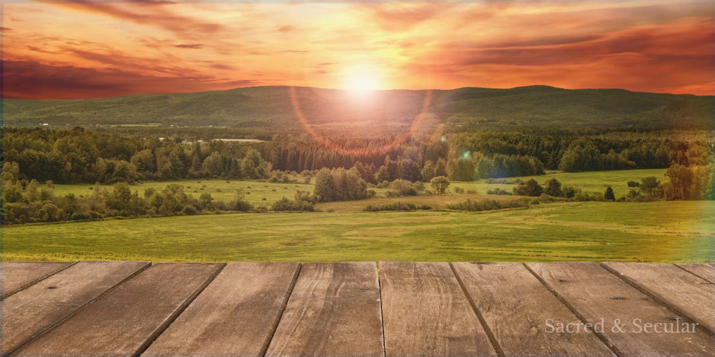 A mountain rising in the distance under warm morning light, symbolising both the mystery of God and the invitation to draw near. A mountain rising in the distance under warm morning light, symbolising both the mystery of God and the invitation to draw near.