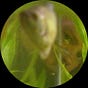 Matthew Bean's avatar