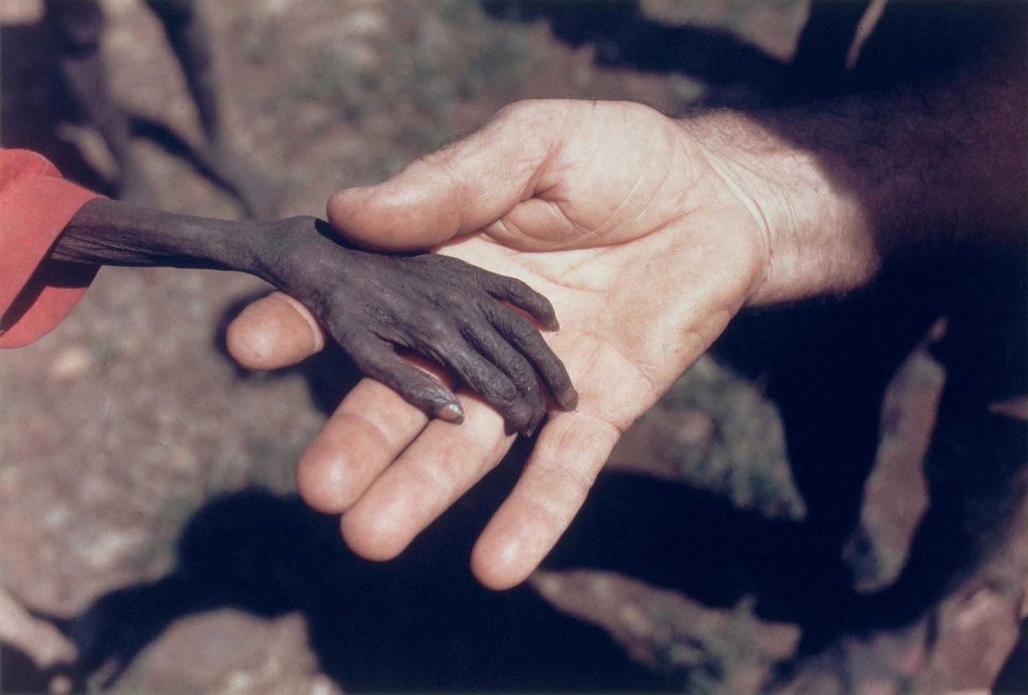 A Catholic missionary comforts a starving boy in Karamoja, Uganda, 1980. A Catholic missionary comforts a starving boy in Karamoja, Uganda, 1980.