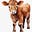 Calves Exorciser's avatar