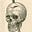 PhineusGage's avatar